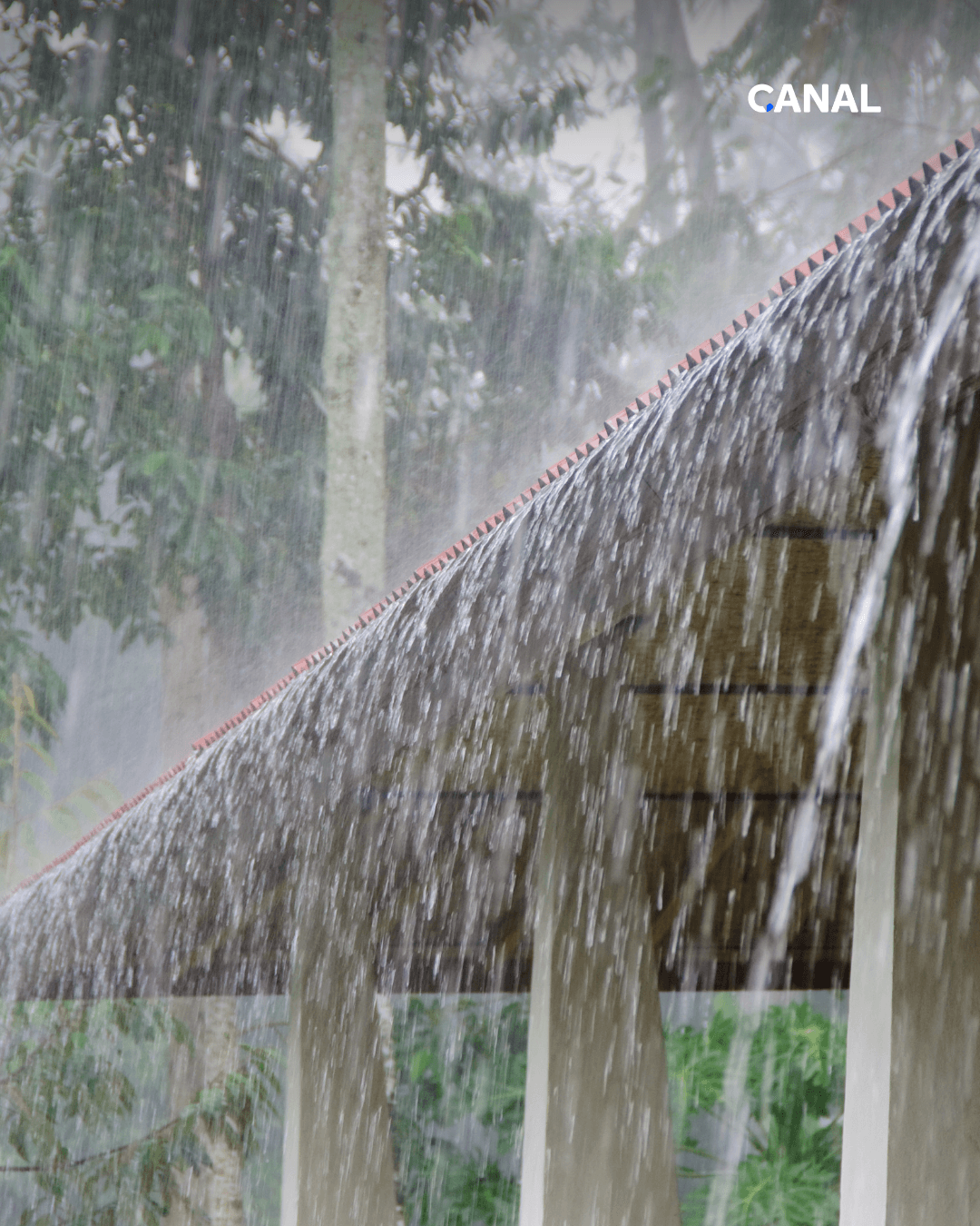 Chuva e calor marcam a semana em Mogi
