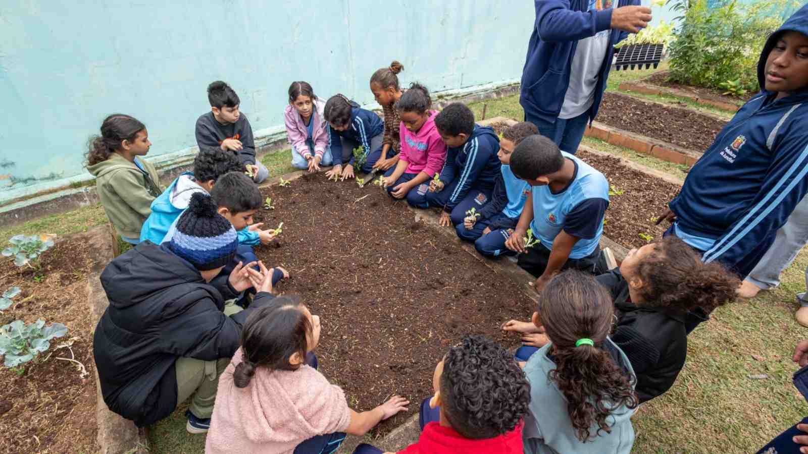 Hortas escolares levam educação ambiental a Jundiaí
